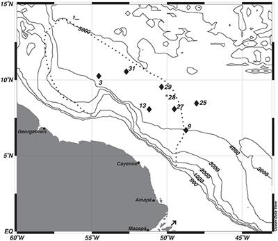 Meter-Scale Early Diagenesis of Organic Matter Buried Within Deep-Sea Sediments Beneath the Amazon River Plume